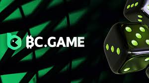 Explore the Exciting World of BC.Game Online Casino Platform
